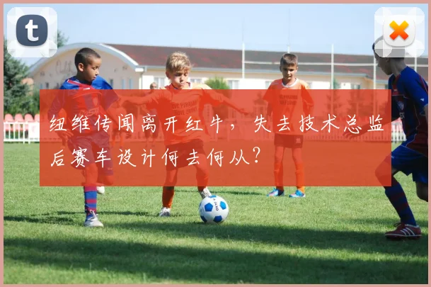 纽维传闻离开红牛，失去技术总监后赛车设计何去何从？